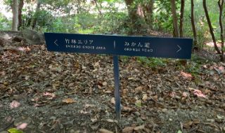 76c90997-10cb-4e69-aaae-d1dce011180c.jpg